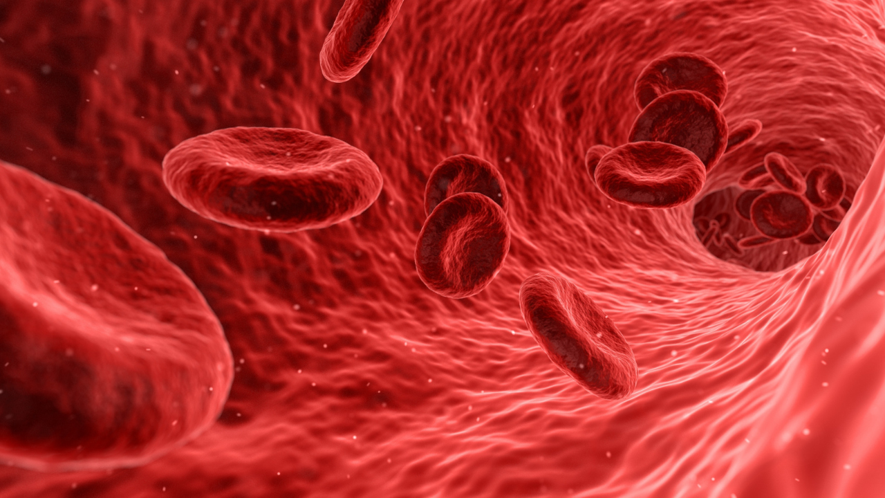 Blood cells in artery