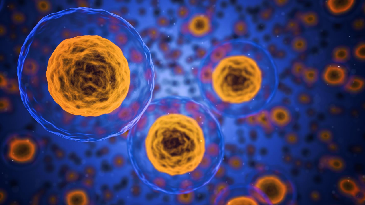 cells