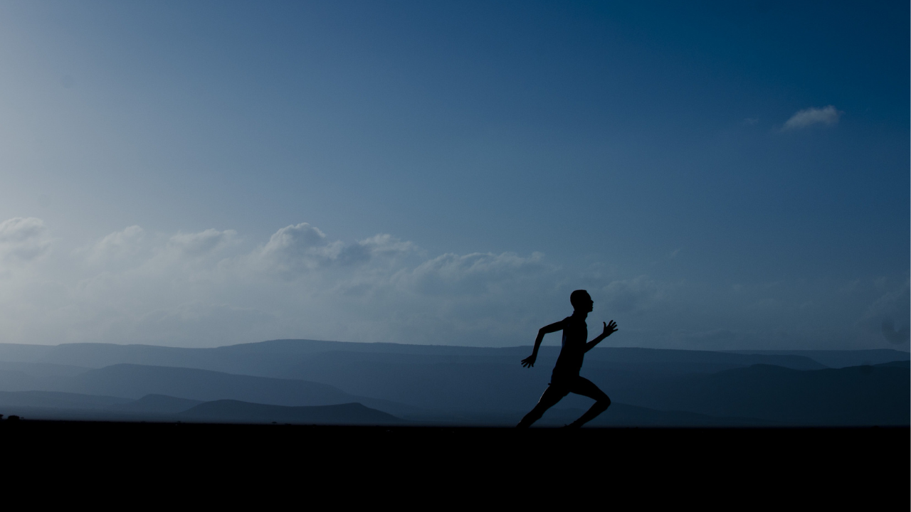 running in the wilds blue background