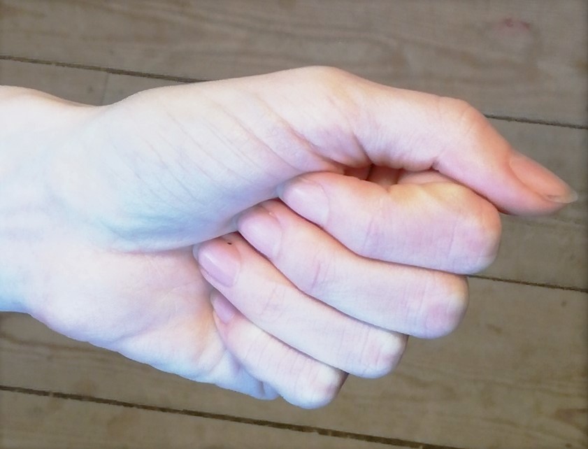 Portion - fist A fist to use to measure portions