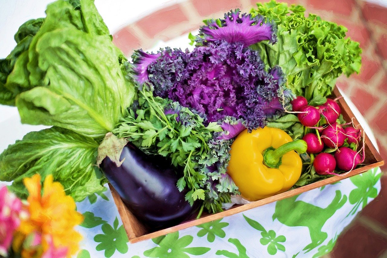 lots of veg from the garden an example of the vegetables of a varied diet, with lots of colours
