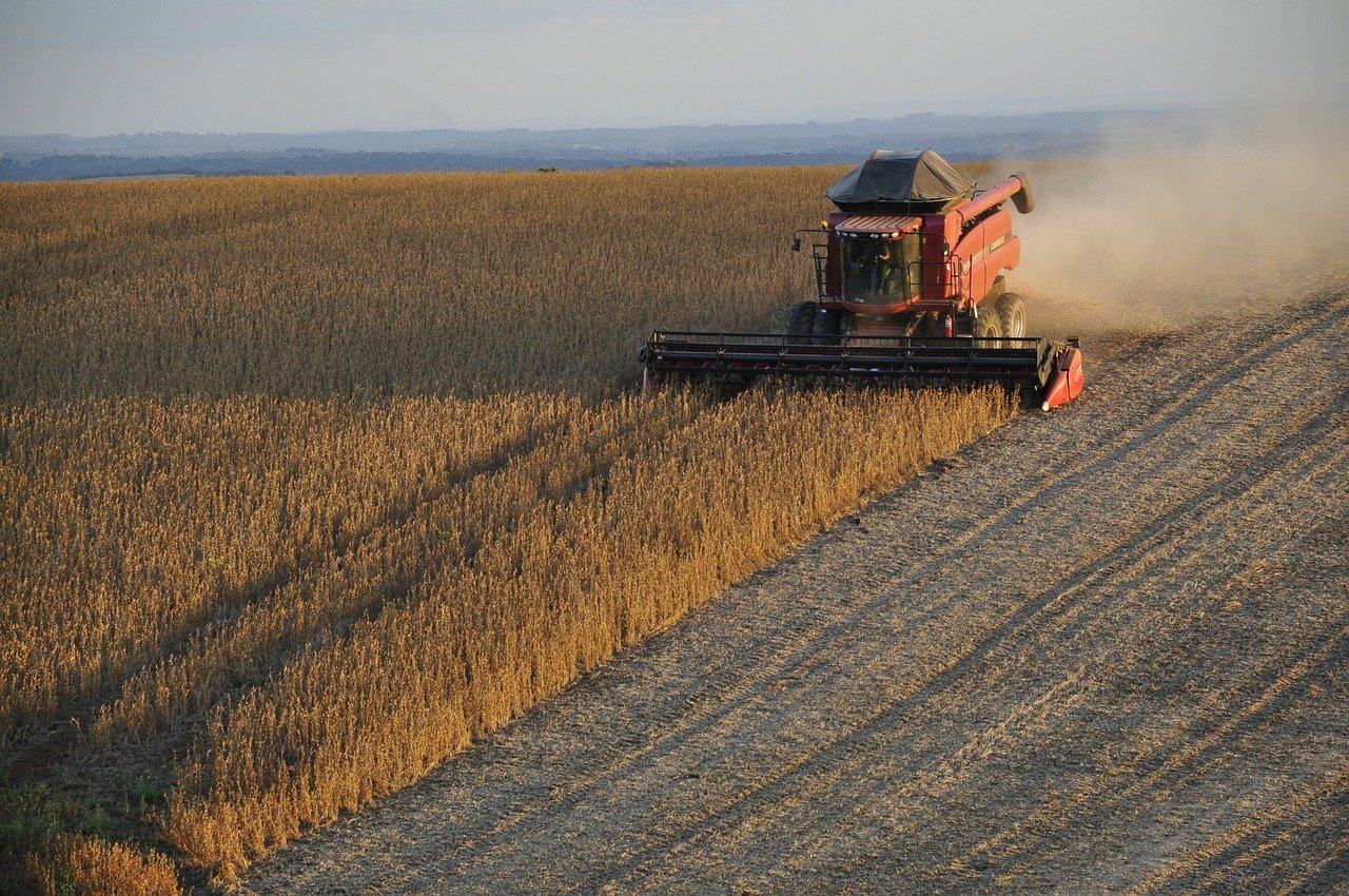 soy bean harvest monoculture