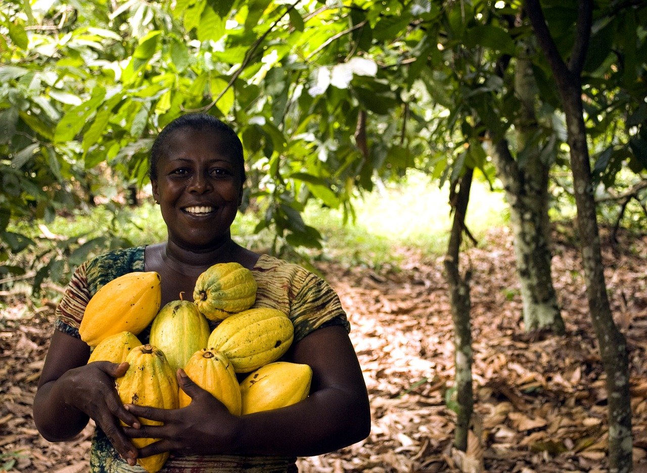 african lady armful of cocoa