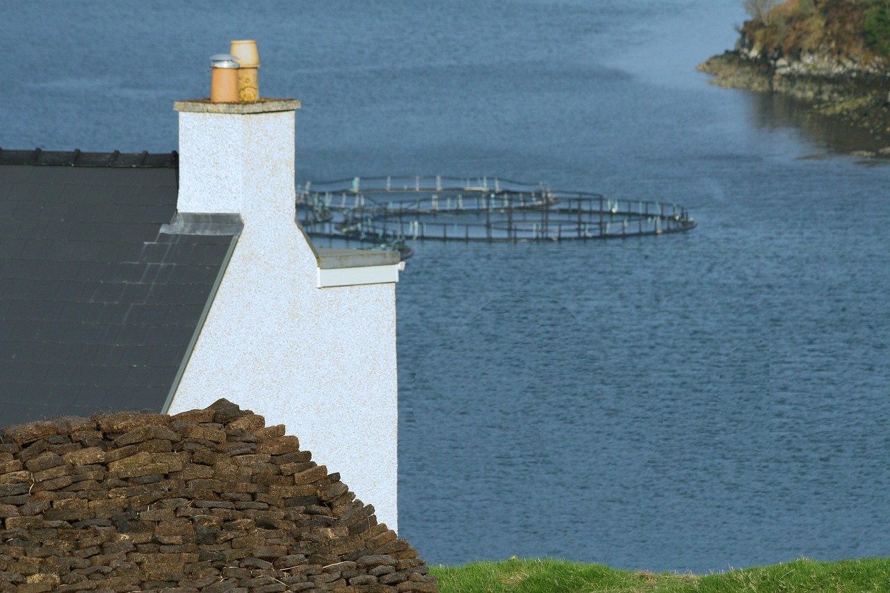 fish farming