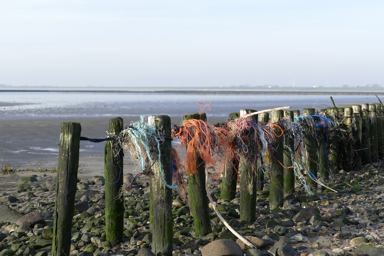 plastic ropes caught on posts