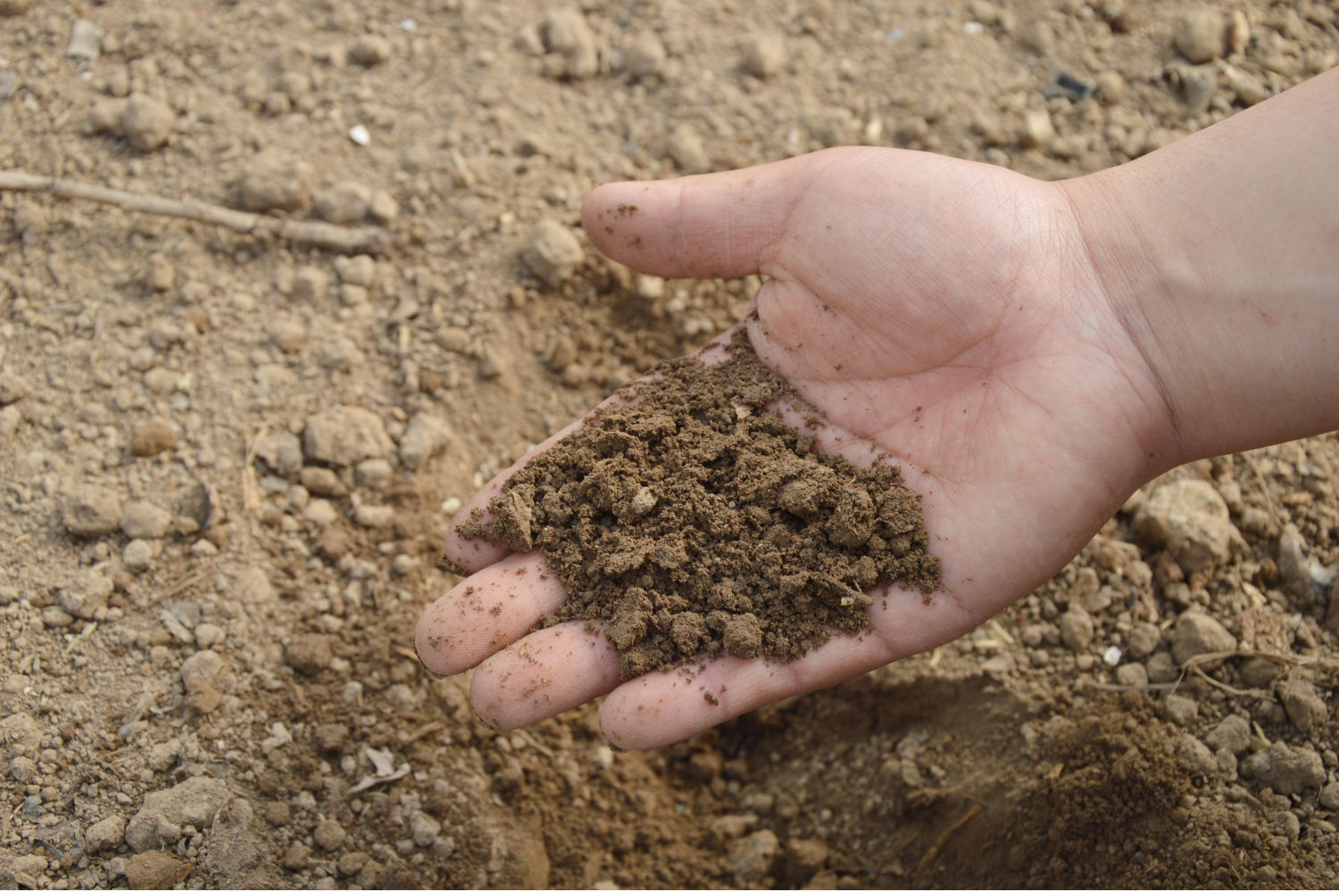 dry soils - poor quality with hand dry soils - poor quality with hand