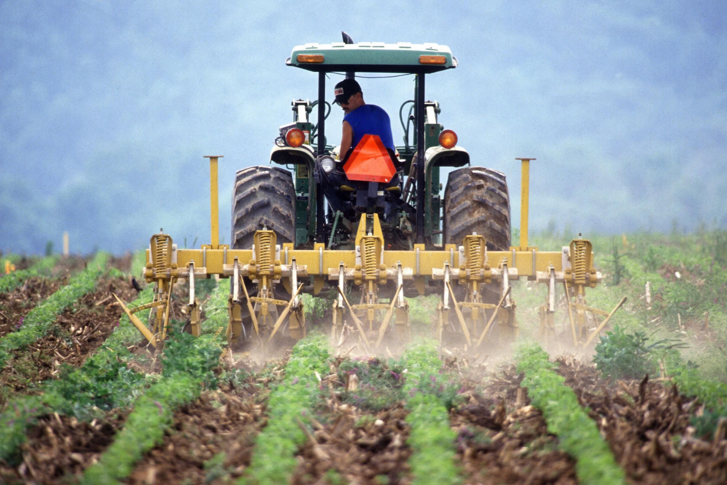 spraying a potato field spraying a potato field